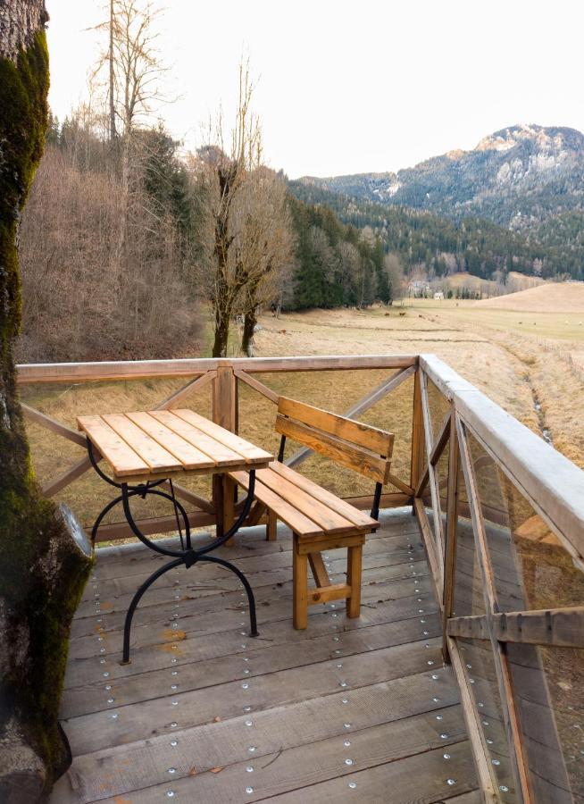 Camping & Glamping Jezersko Ex Cvet Gora المظهر الخارجي الصورة