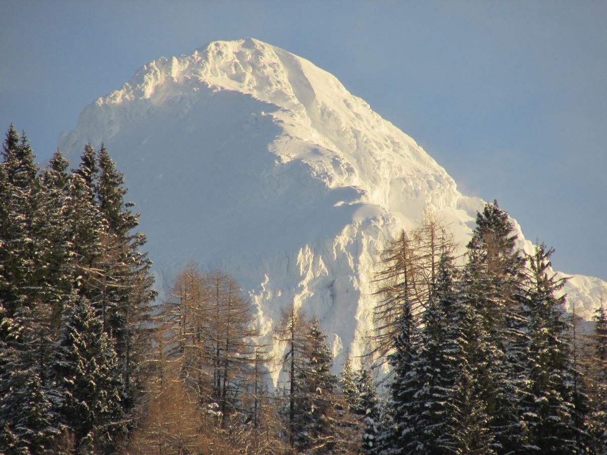 Camping & Glamping Jezersko Ex Cvet Gora المظهر الخارجي الصورة